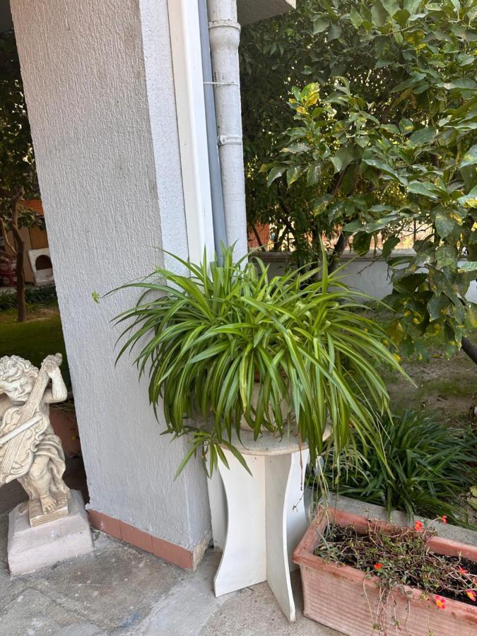 Ajoaolbia B&B Bagian luar foto